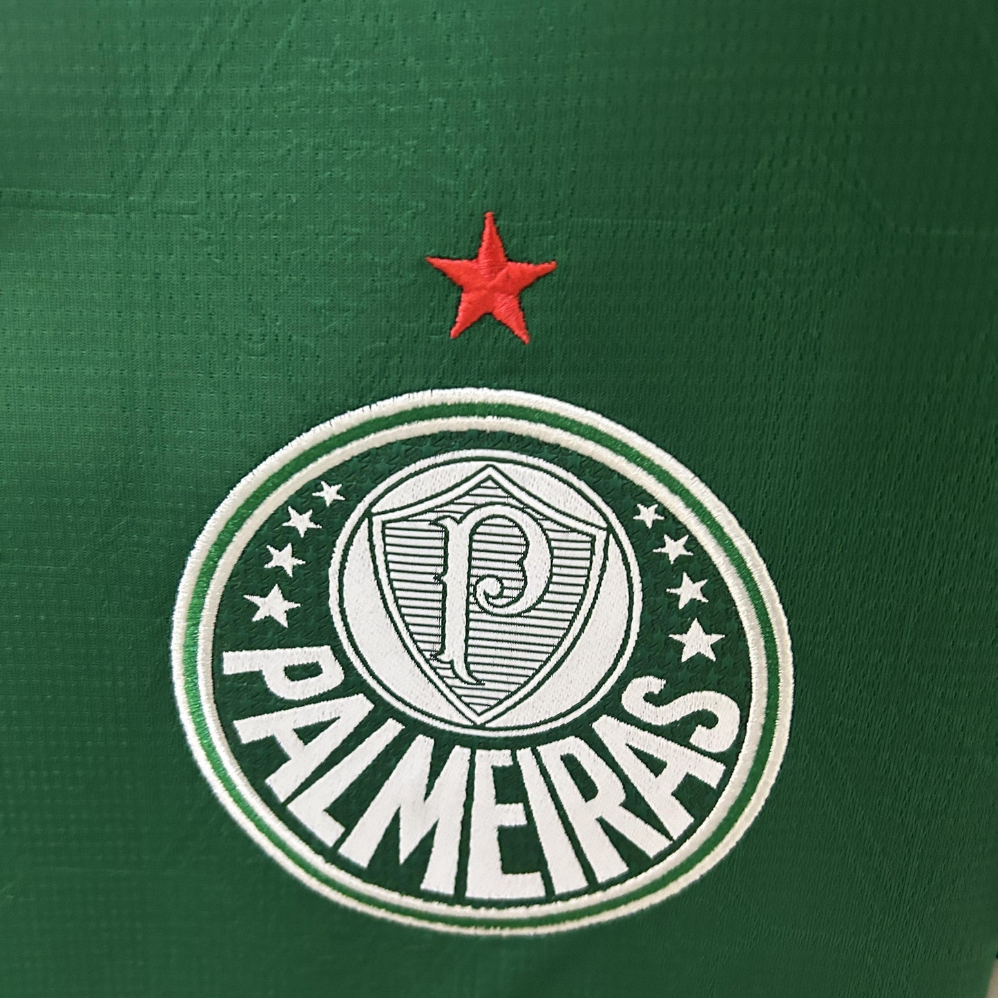 Palmeiras Principal 25/26