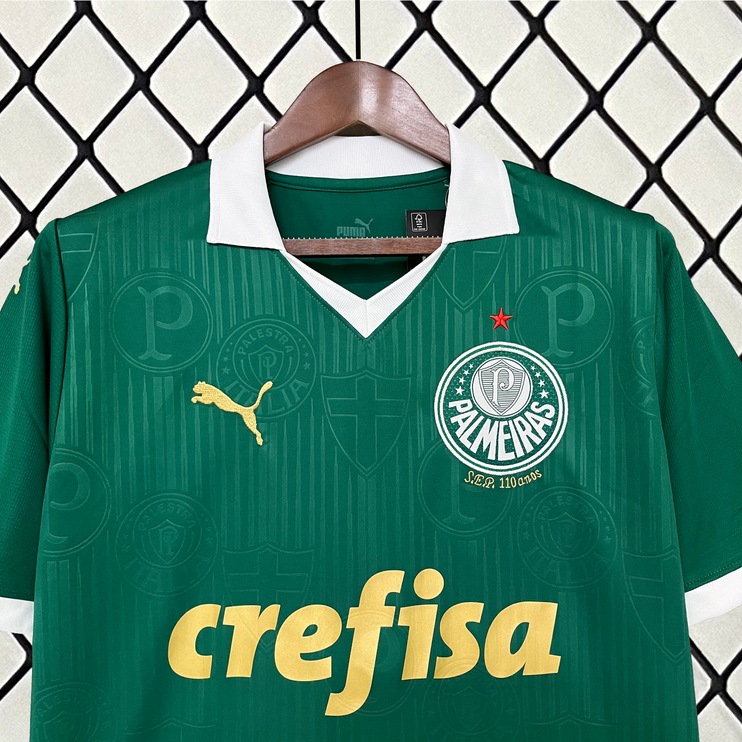 Palmeiras Principal 24/25
