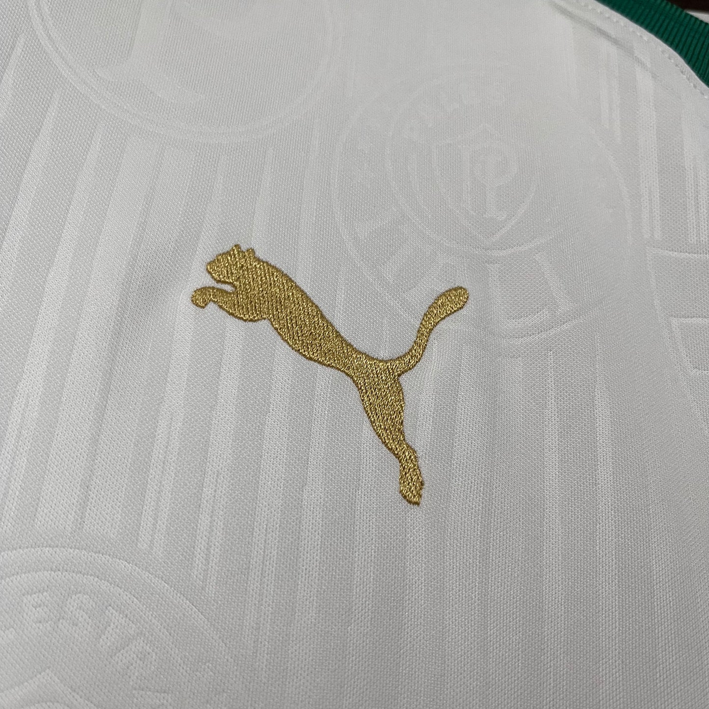 Palmeiras Secundária 24/25