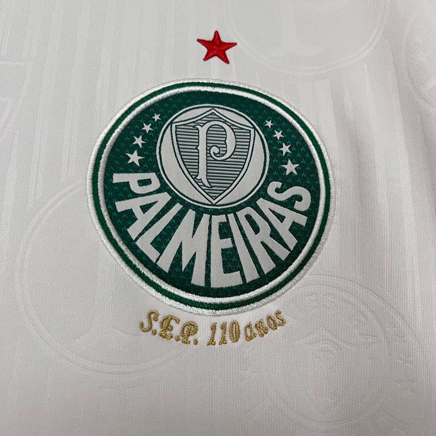 Palmeiras Secundária 24/25