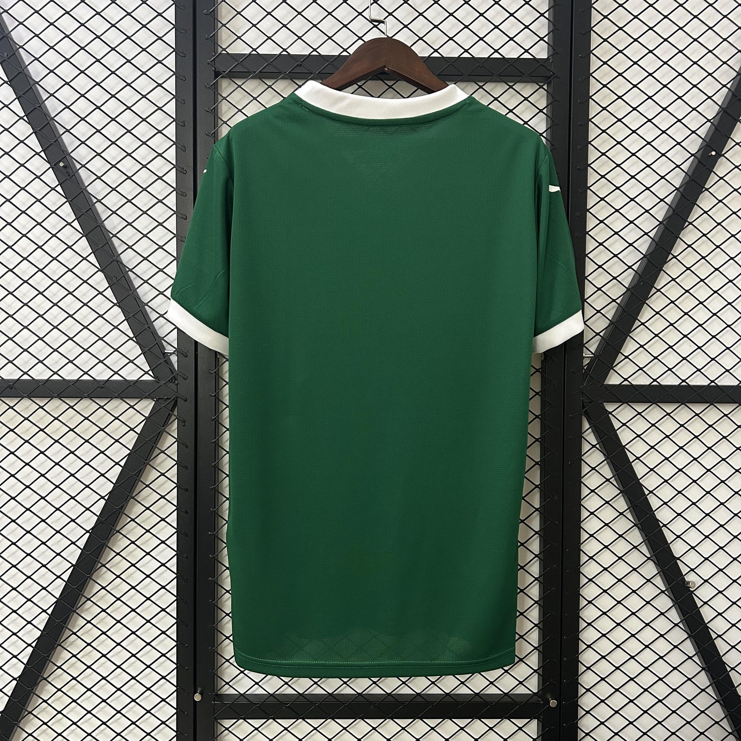 Palmeiras Principal 25/26