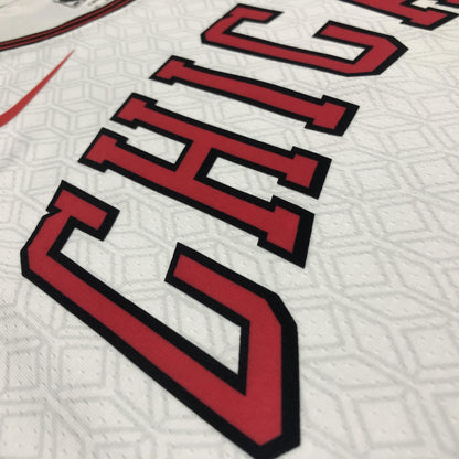 Chicago Bulls Branca 2