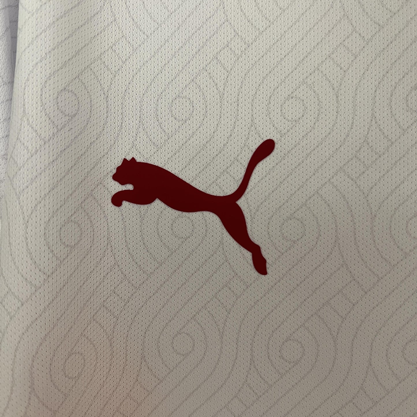 Galatasaray Secundária 24/25