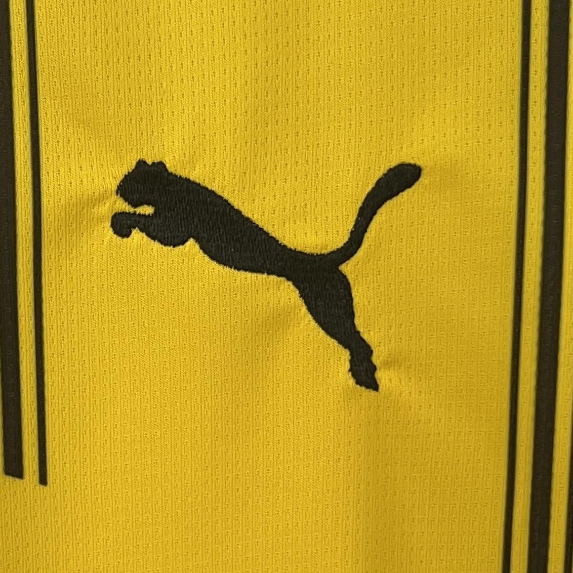 Borussia Dortmund Principal 24/25
