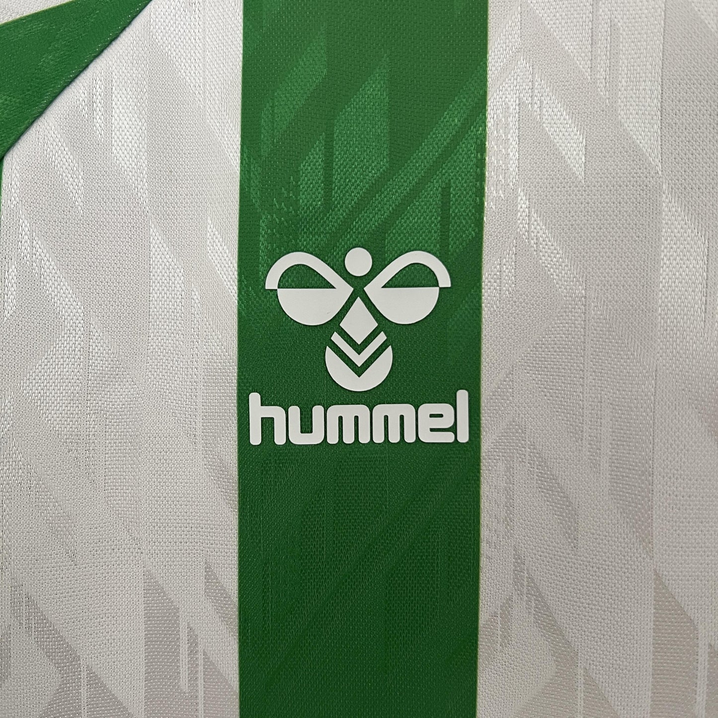 Real Betis Principal 24/25