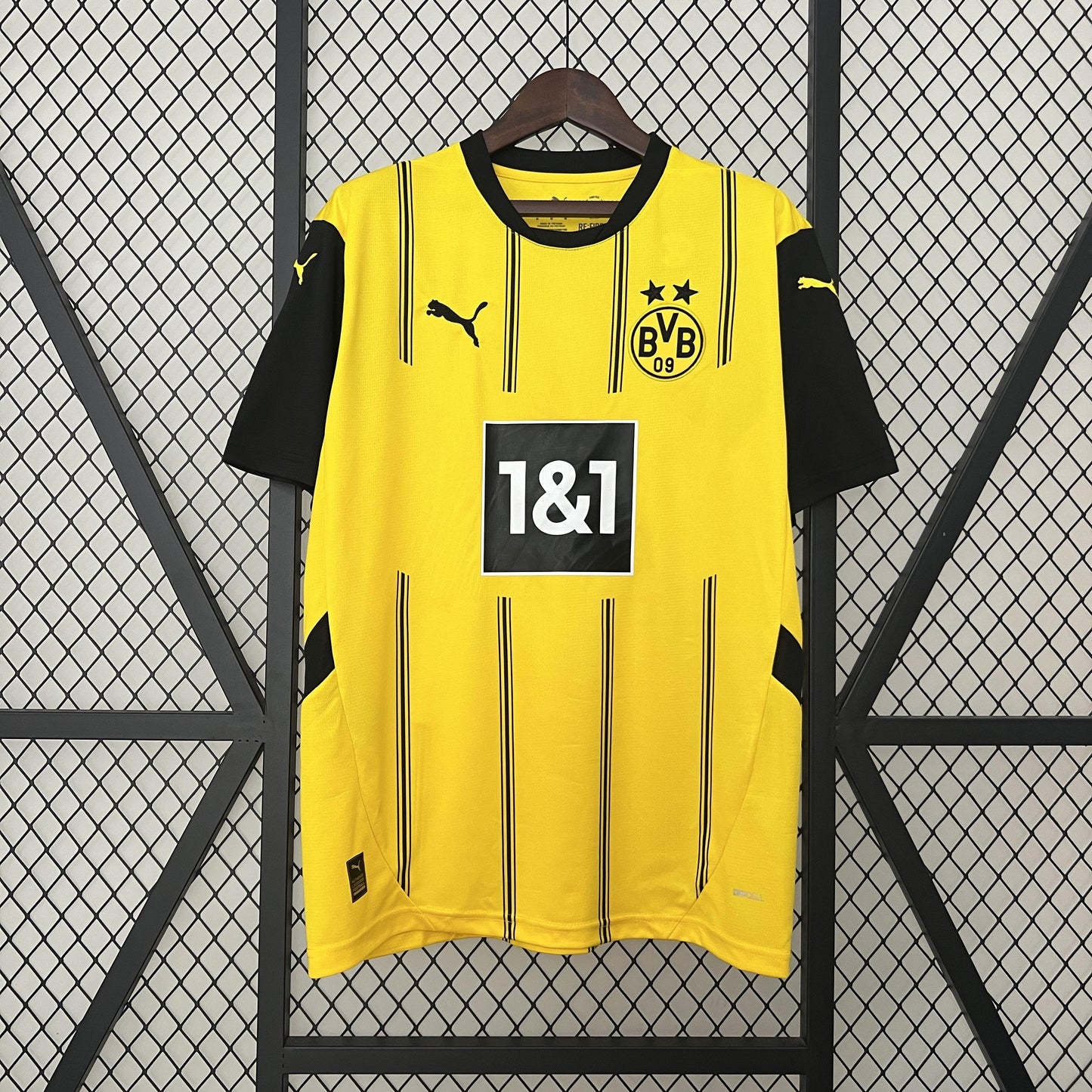 Borussia Dortmund Principal 24/25