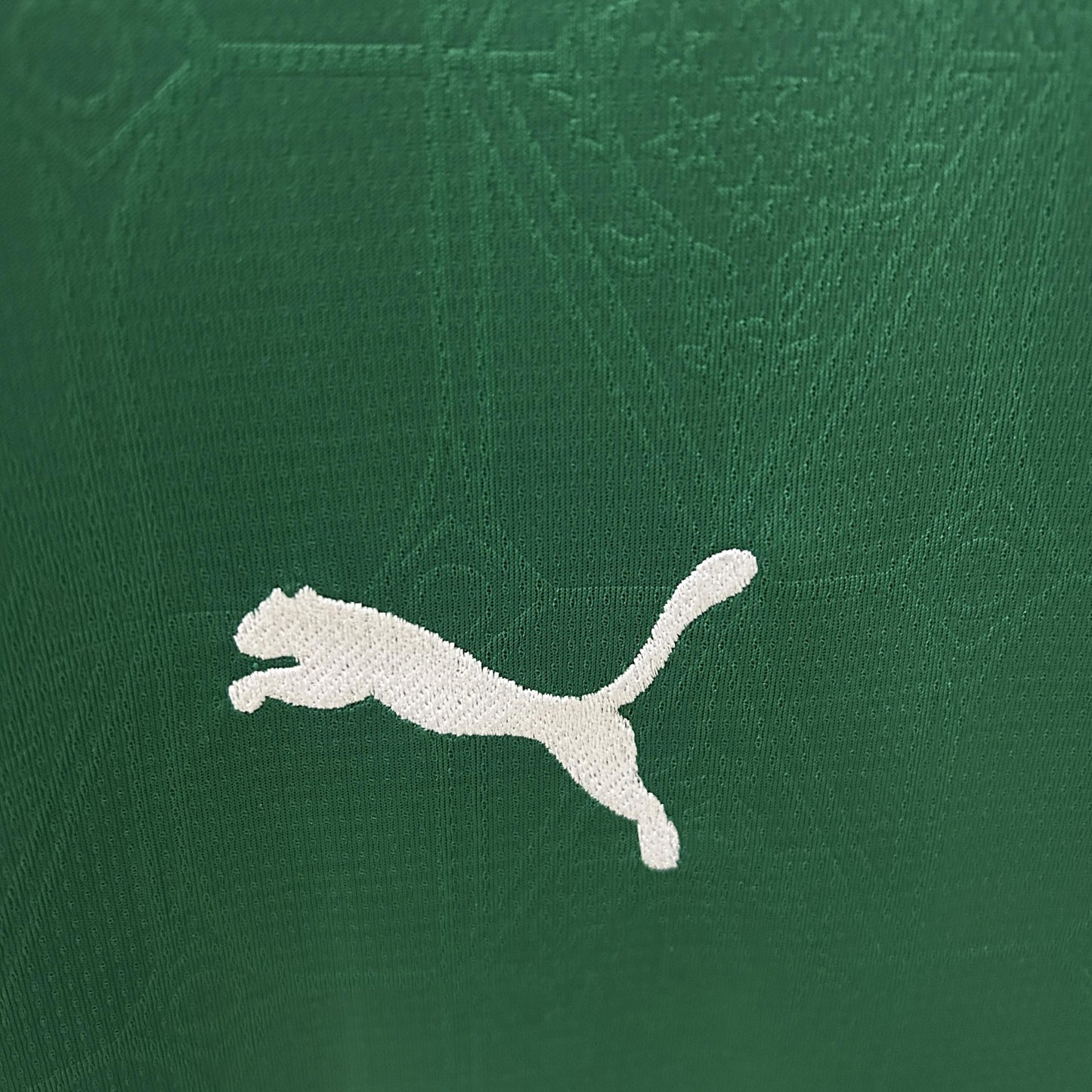 Palmeiras Principal 25/26