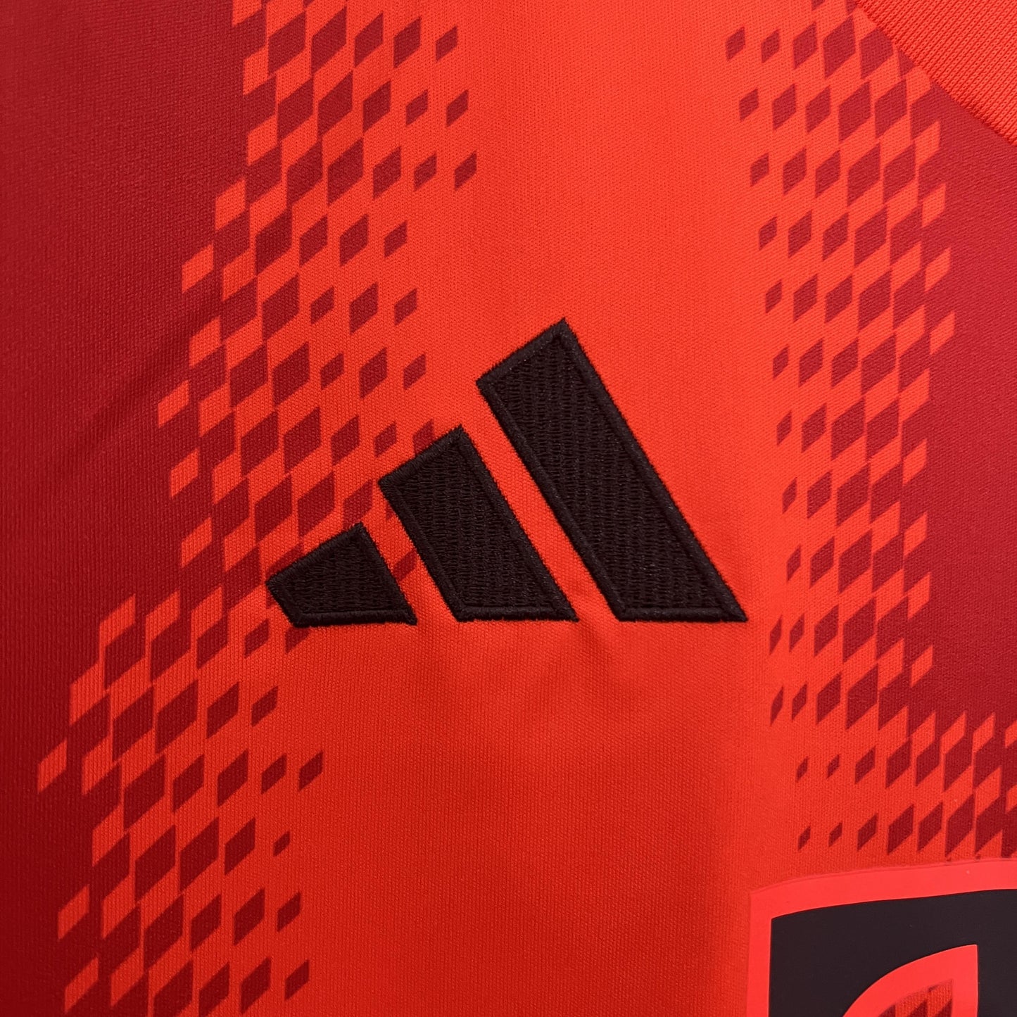 Bayern München Principal 24/25