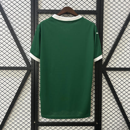 Palmeiras Principal 25/26