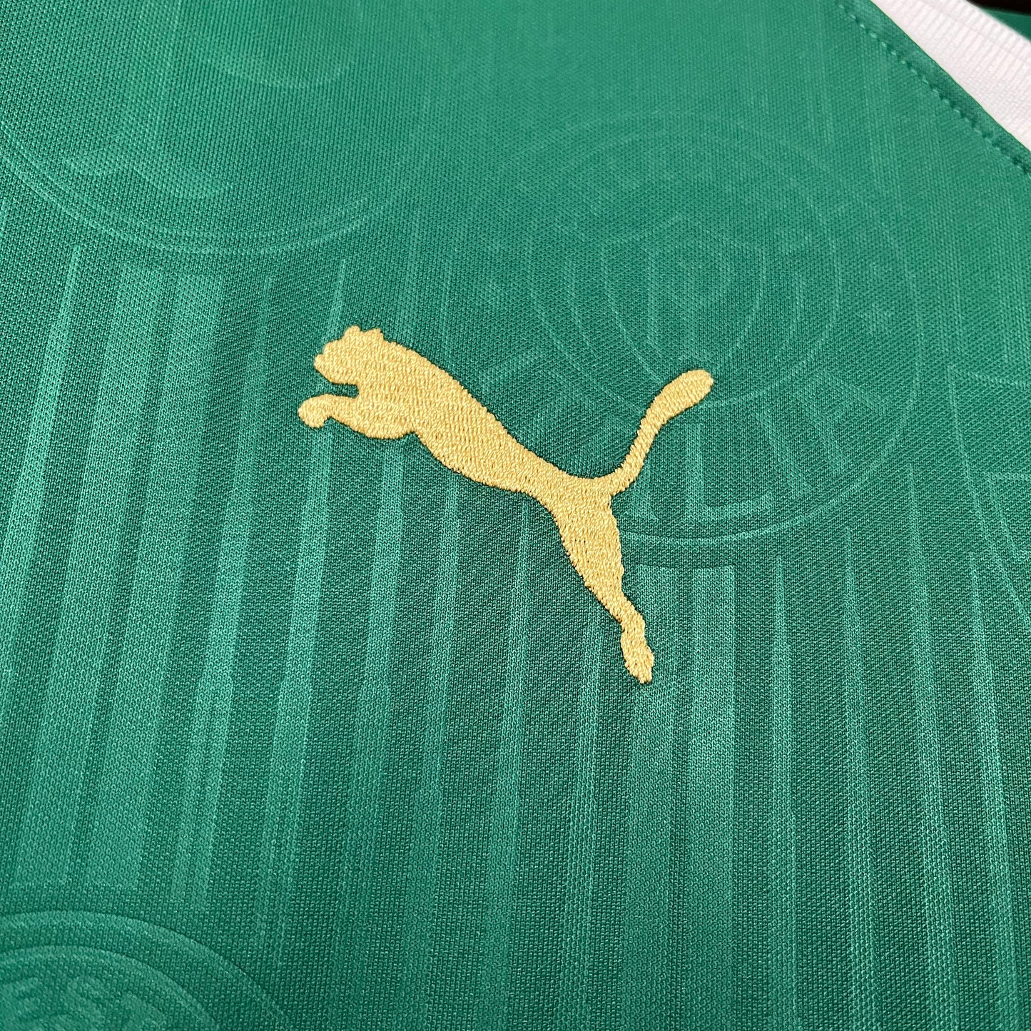 Palmeiras Principal 24/25
