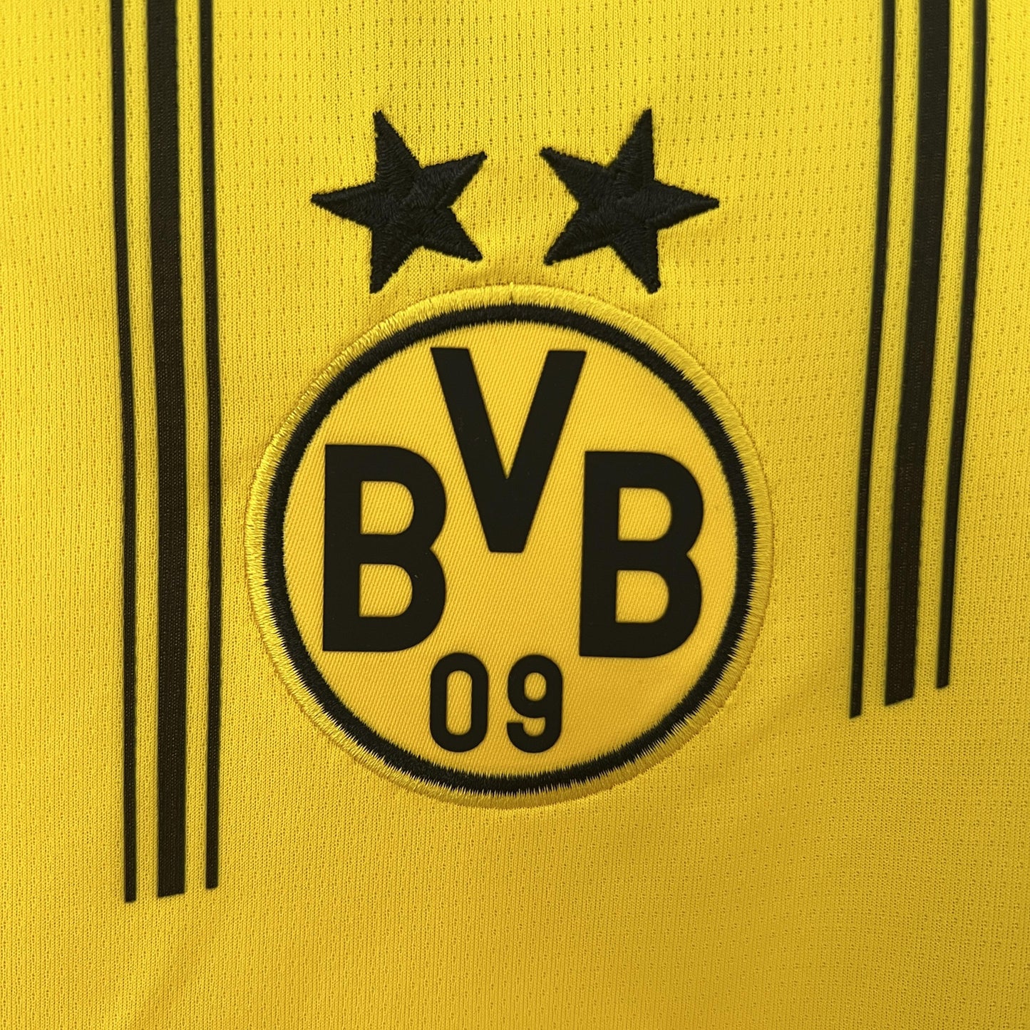 Borussia Dortmund Principal 24/25